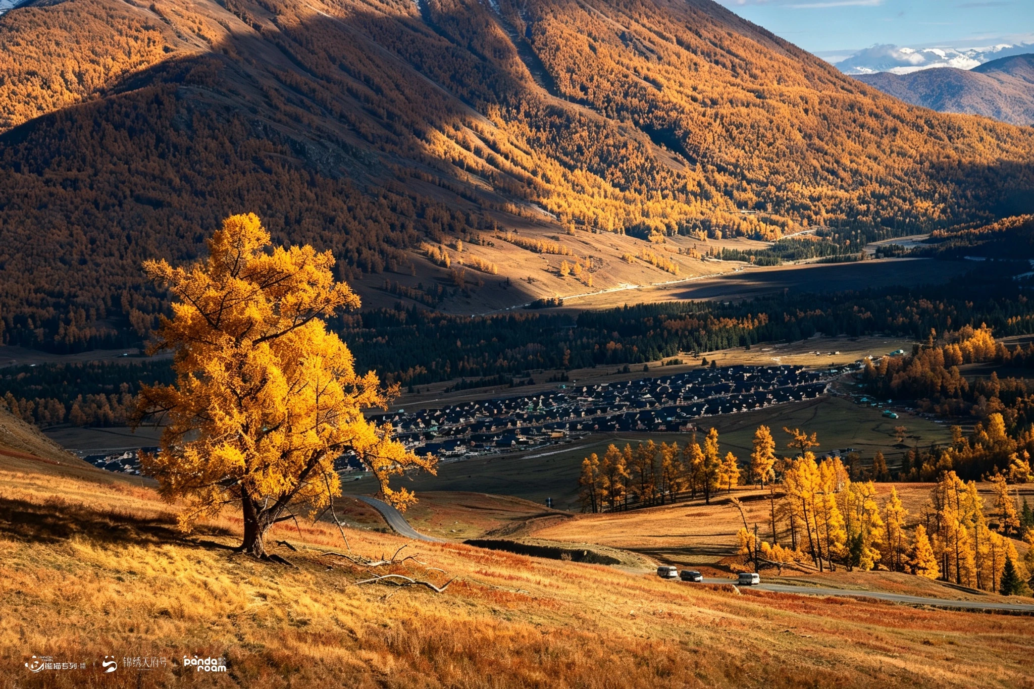 Golden tree above a valley village and curving road