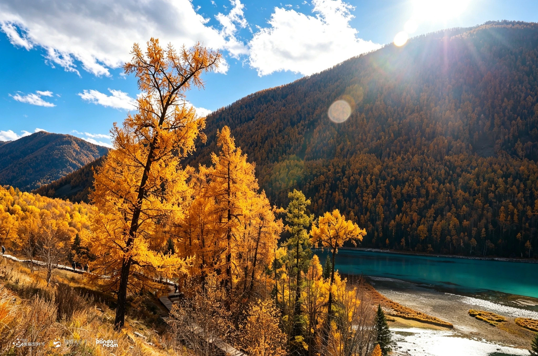 Golden trees and boardwalk beside blue-green water