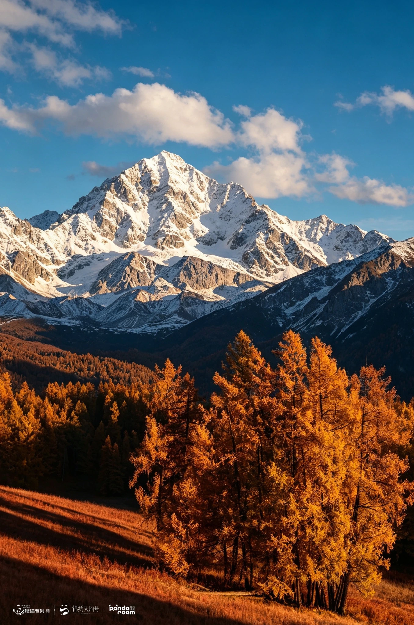 Snow-covered peak rising above yellow and orange autumn trees in Xinjiang
