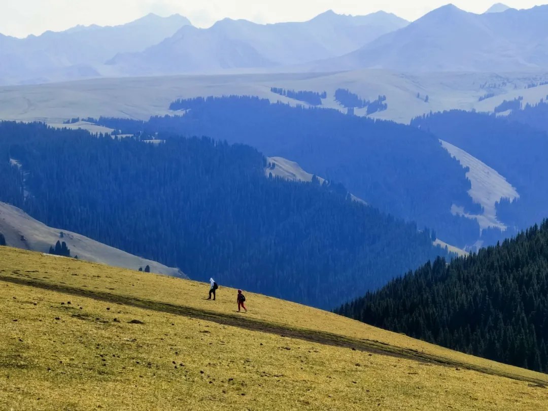 Grassland and mountains in Kalajun