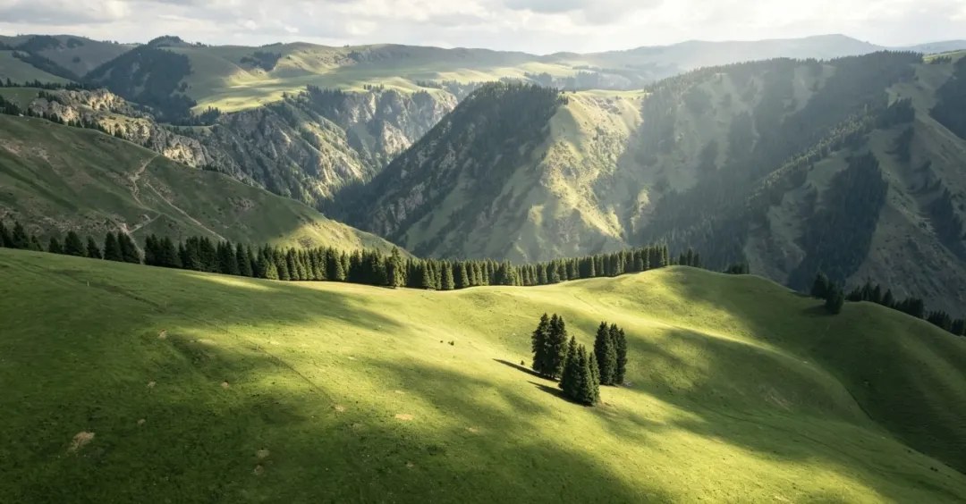 Rolling grassland in Kalajun