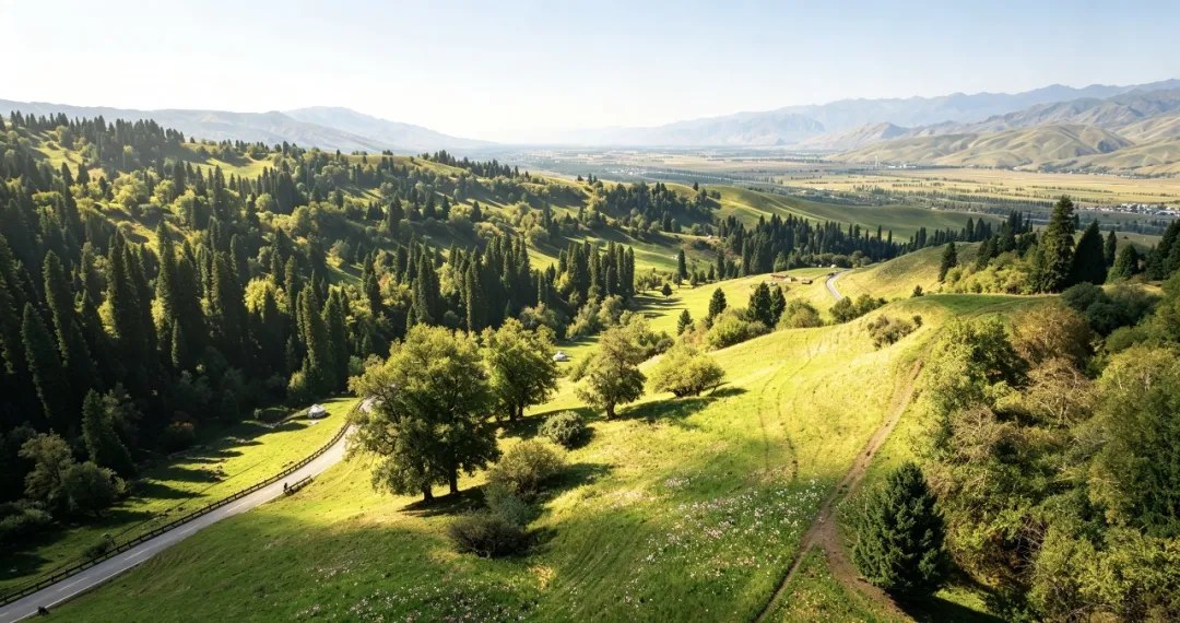 Green meadows and trees in Nalati