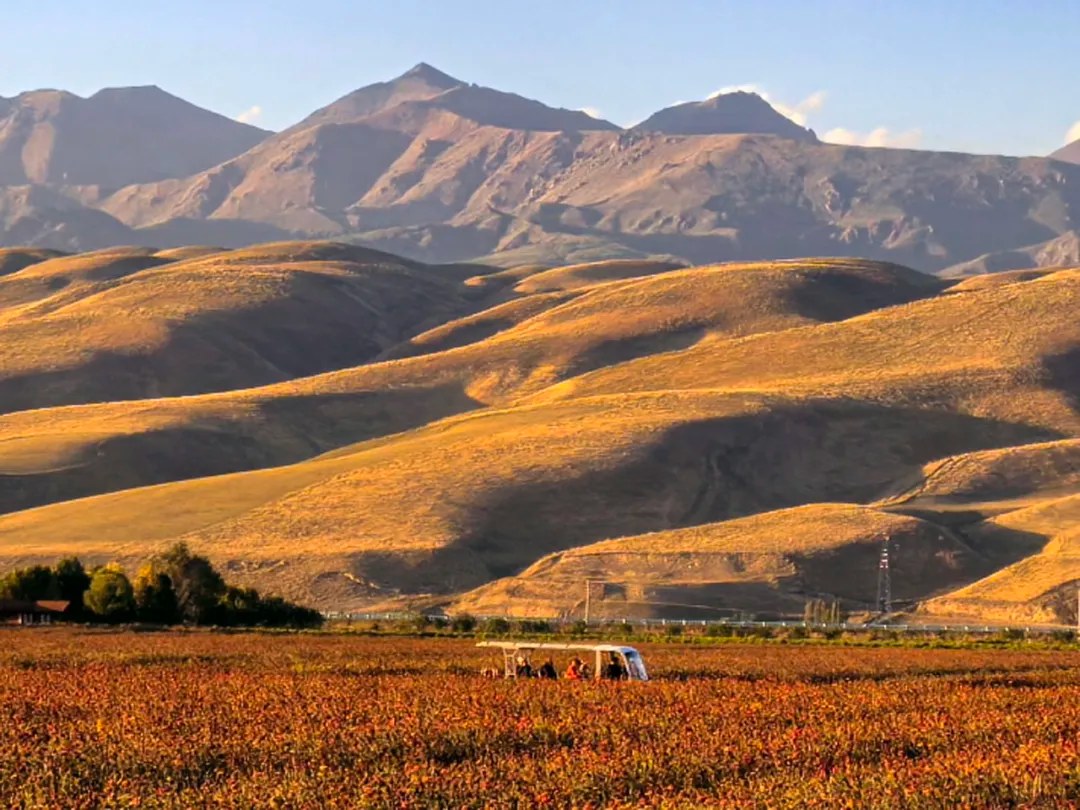 Autumn-coloured hills in Nalati