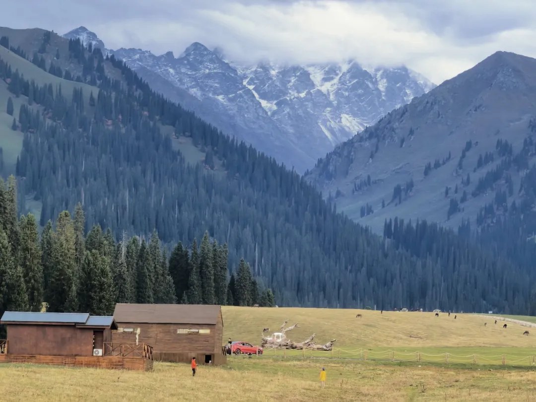 Mountain valley and pasture in Nalati