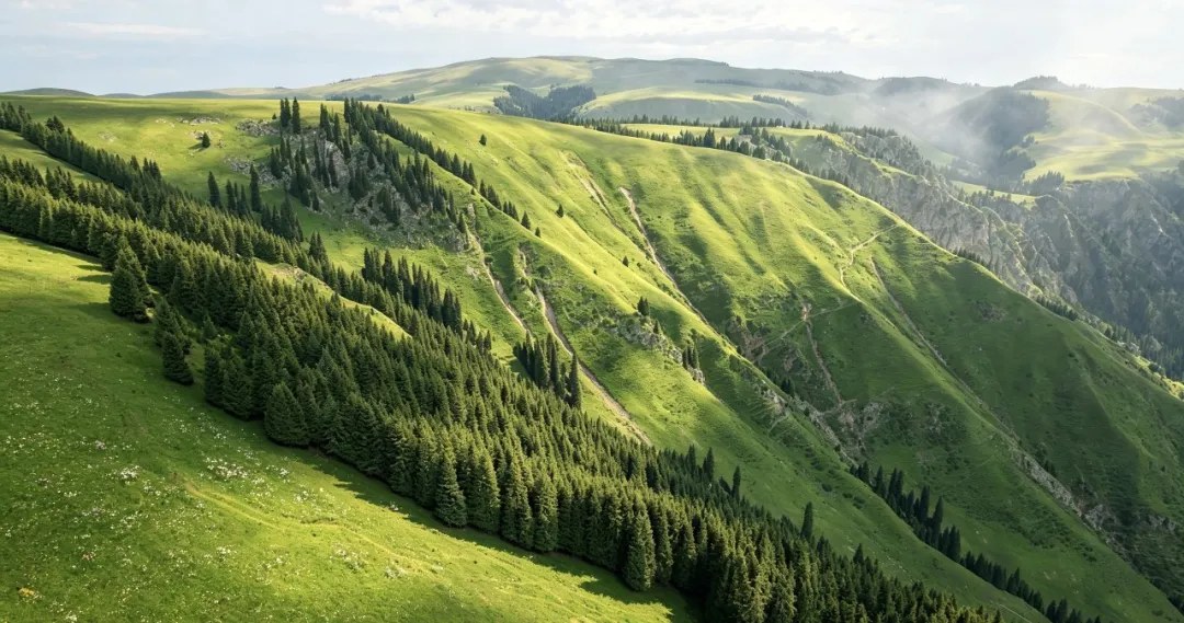Green slopes in Qiongkushitai