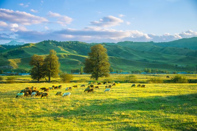 Nalati Grassland reference image 2