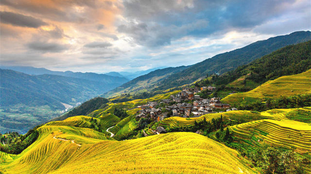 Longji Rice Terraces Reference image 3