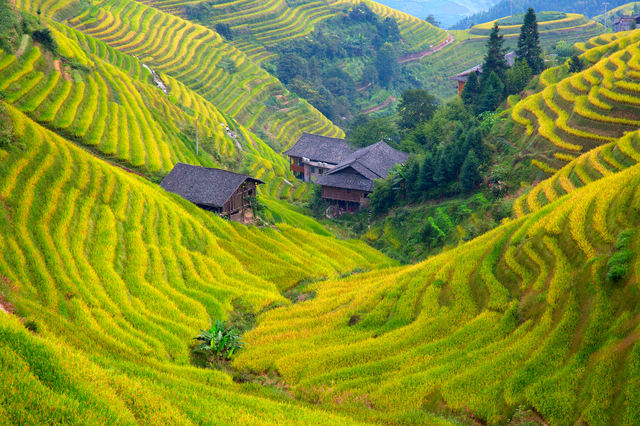 Longji Rice Terraces itinerary photo