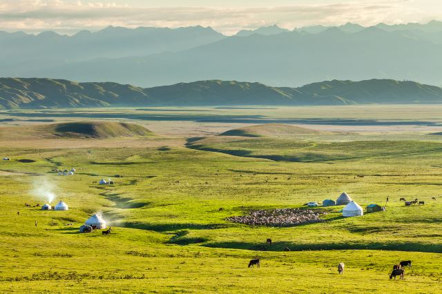 Nalati Grassland reference image 3