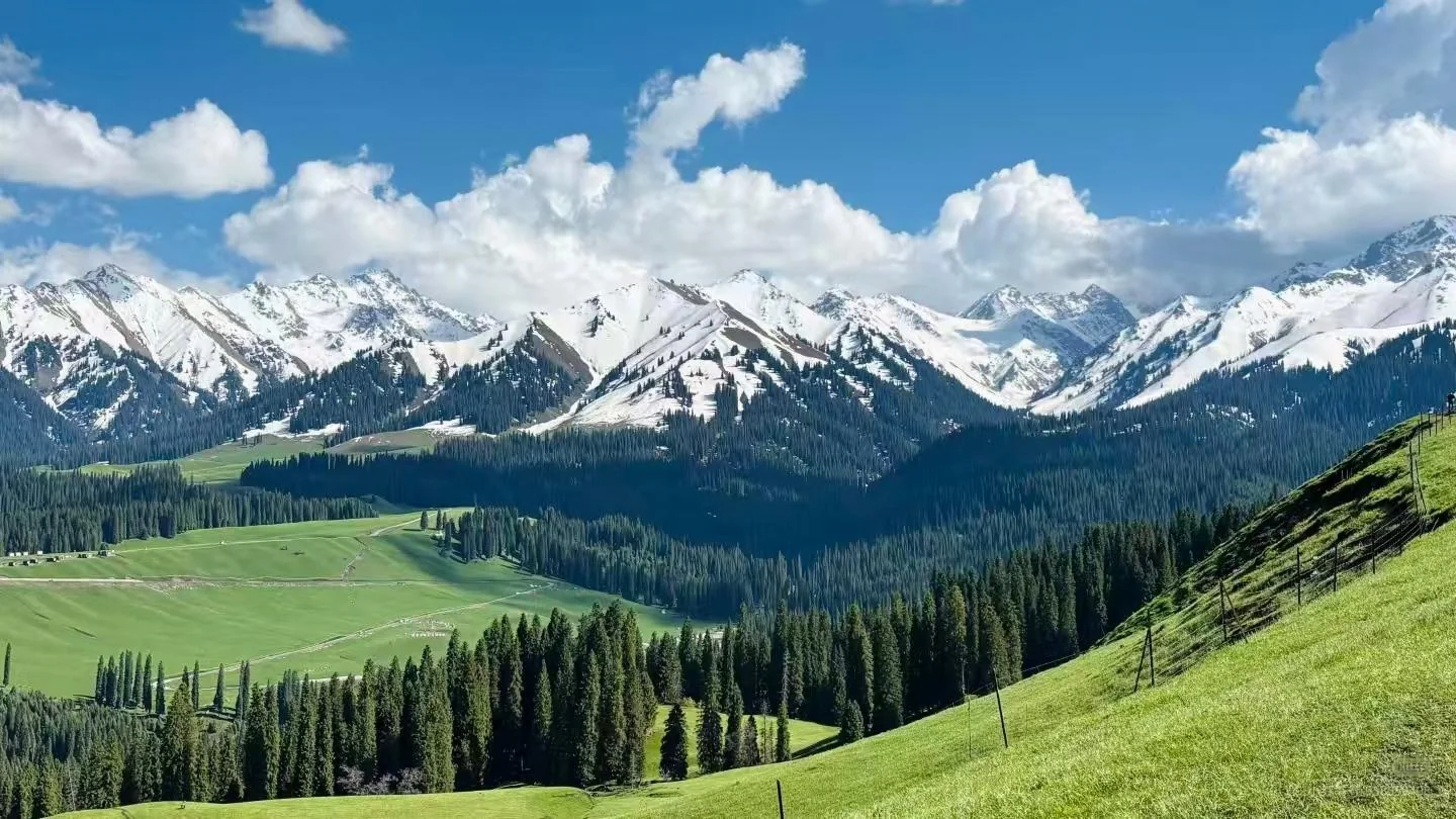 Meadow and spruce woodland in the Kuerdening material