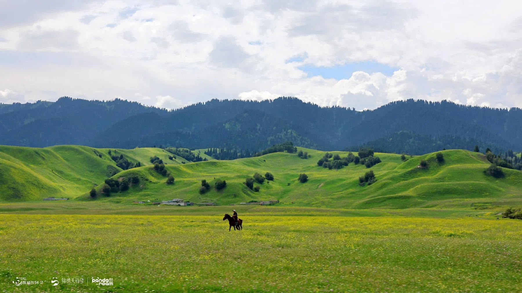 Grassland, woodland and a rider in the Nalati material