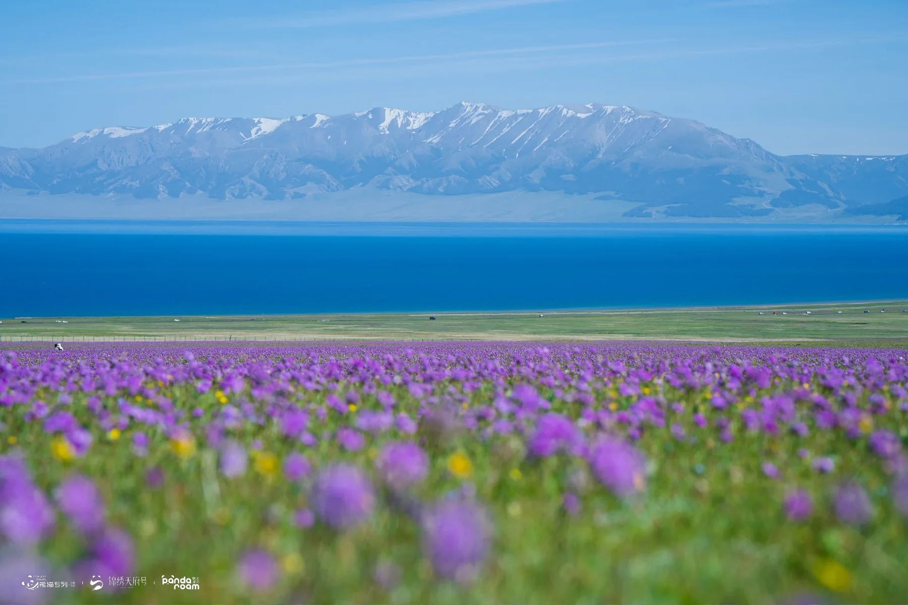 Sayram Lake and distant mountains shown in the material